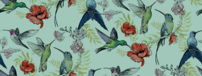 Bird Header Small.png