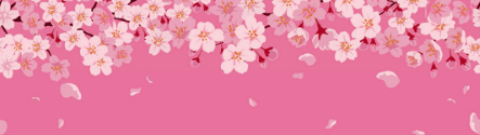 Blossom Header Small.png