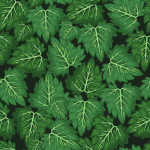 Dryad Background Small.png