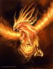 pheonix_by_conclaveofdarkness.jpg