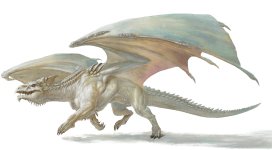 dragon.jpeg