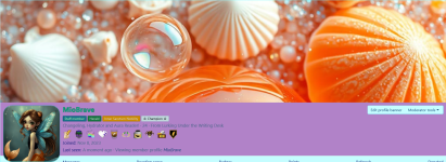 Screenshot 2025-05-24 at 16-05-17 MioBrave Inner Sanctum Roleplaying.png