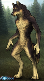 1752511768264.png