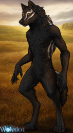 1752511783573.png