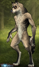 1752511804106.png