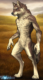 1752511851761.png
