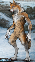 1752511865656.png