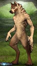 1752511882639.png