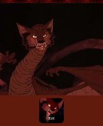 IMG_2735.jpeg