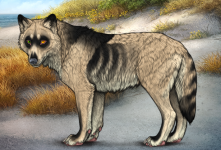 rudolphus.png