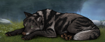 miran.png