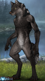 miran werewolf.png