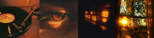 Untitled design (28).png