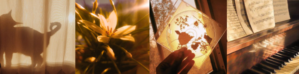 Untitled design (5).png