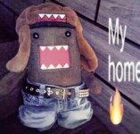 IMG_6247.jpeg