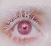 IMG_6256.jpeg