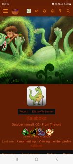 Screenshot_20251101_093548_Samsung Internet.jpg