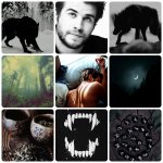 Adrian Aesthetic collage 2.jpg