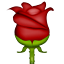 :rose: