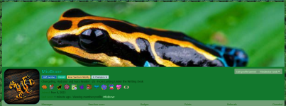 Screenshot 2025-12-01 at 11-44-58 MioBrave Inner Sanctum Roleplaying.png