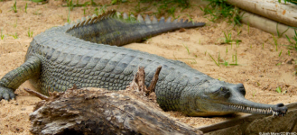 Screenshot 2025-12-28 11.06.39 PM.png