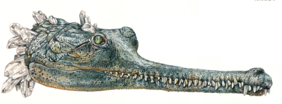steinergharial.png