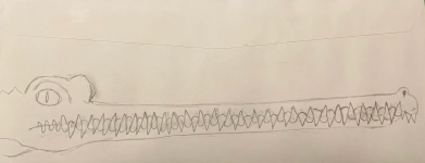 Screenshot 2025-12-28 11.43.51 PM.png