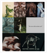Faerie Moodboards.png