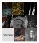 Witcher Moodboards.png