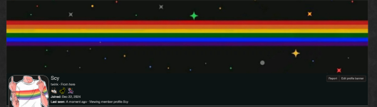 pfp pride.png