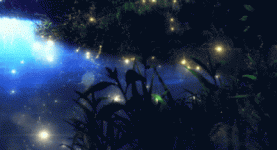 39D68AC5-D735-46C5-8FF2-C08A20E2175F.gif