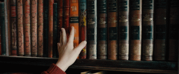15baffe762579ae8329a312f2e5170bb.gif