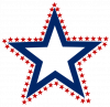 Lone Star Logo.png