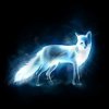 fox spirit.jpg
