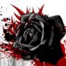 Bloody Red Rose