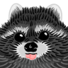 Raxir