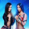 AJ Lee vs Sasha Banks