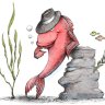 RedHerring