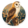 BarnOwl