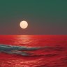 carbonocean