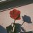 LayingRosesToRest