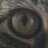 BanditCat