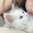kitsy