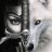 SheWolf