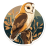BarnOwl