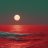 carbonocean