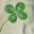 FourLeafClover