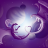 Dragongoddess